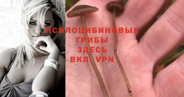 трава Балахна